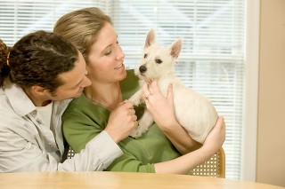 A couple spending time with their dog