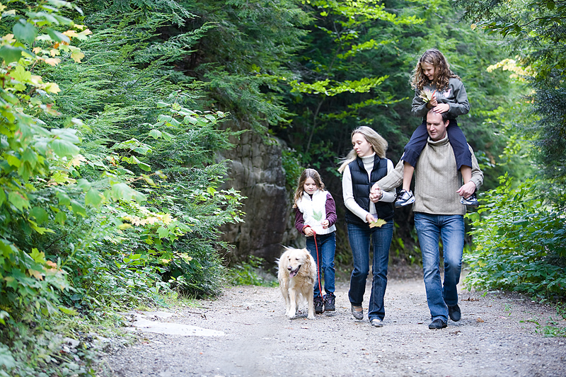Dog Friendly Walks Dartmoor Dog Friendly Walks Dartmoor