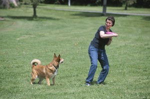 Hobbies you and your dog can enjoy - a dog plays fetch