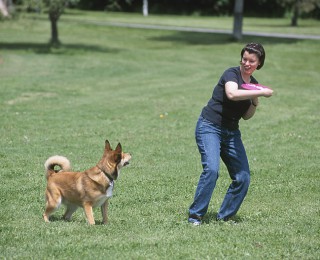 Hobbies you and your dog can enjoy - a dog plays fetch