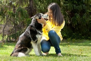 Monthly Costs Of Owning A Dog Uk Monthly Costs Of Owning A Dog Uk