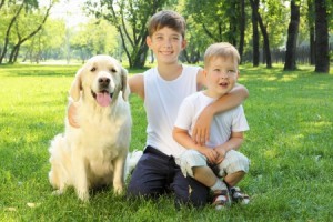 Golden Labrador dog sat down in the grass with two children