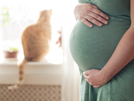 A pregnant lady with her cat