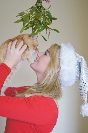 Cats and mistletoe do not mix well