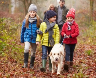 How Much Does it Cost to Own a Dog - A family walk is a great way to exercise with your dog