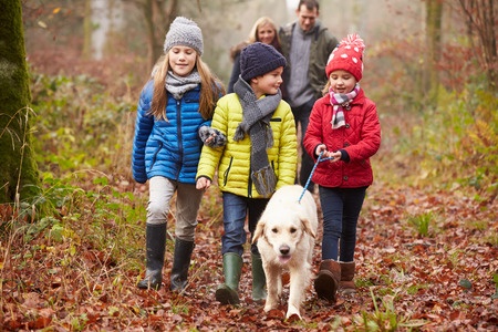 A family walk is a great way to exercise with your dog