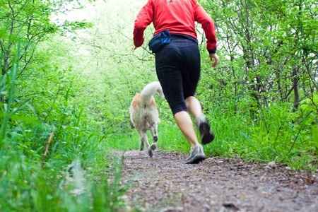 Going for a run is a simple way to exercise with your dog