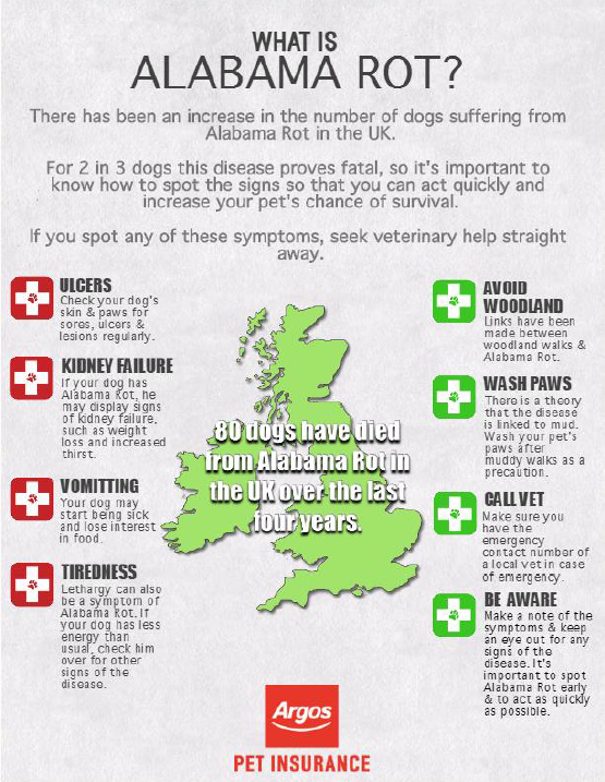 Fatal Dog Disease, Alabama Rot Argos Pet Insurance