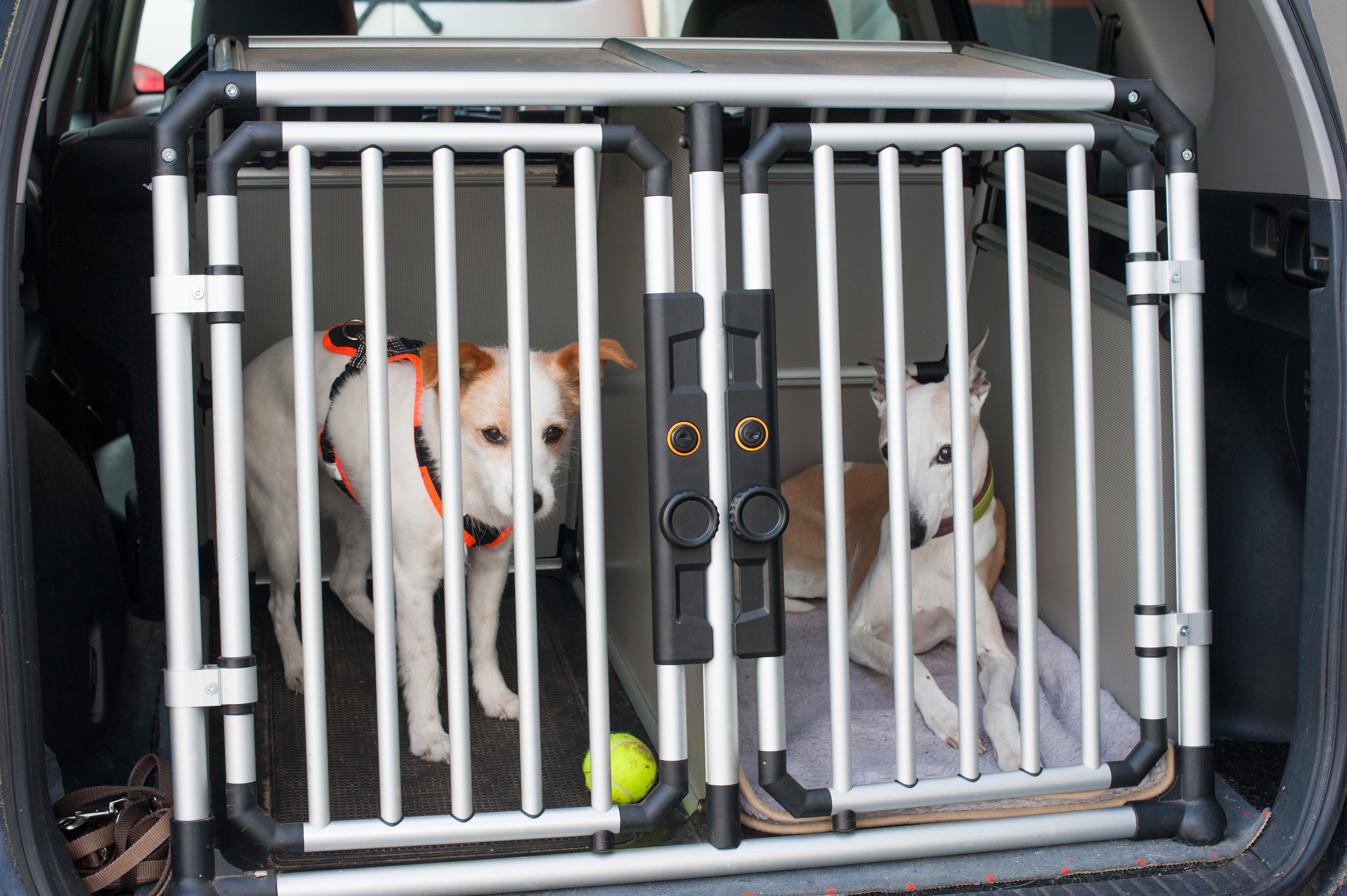 Dog car hot sale crate argos