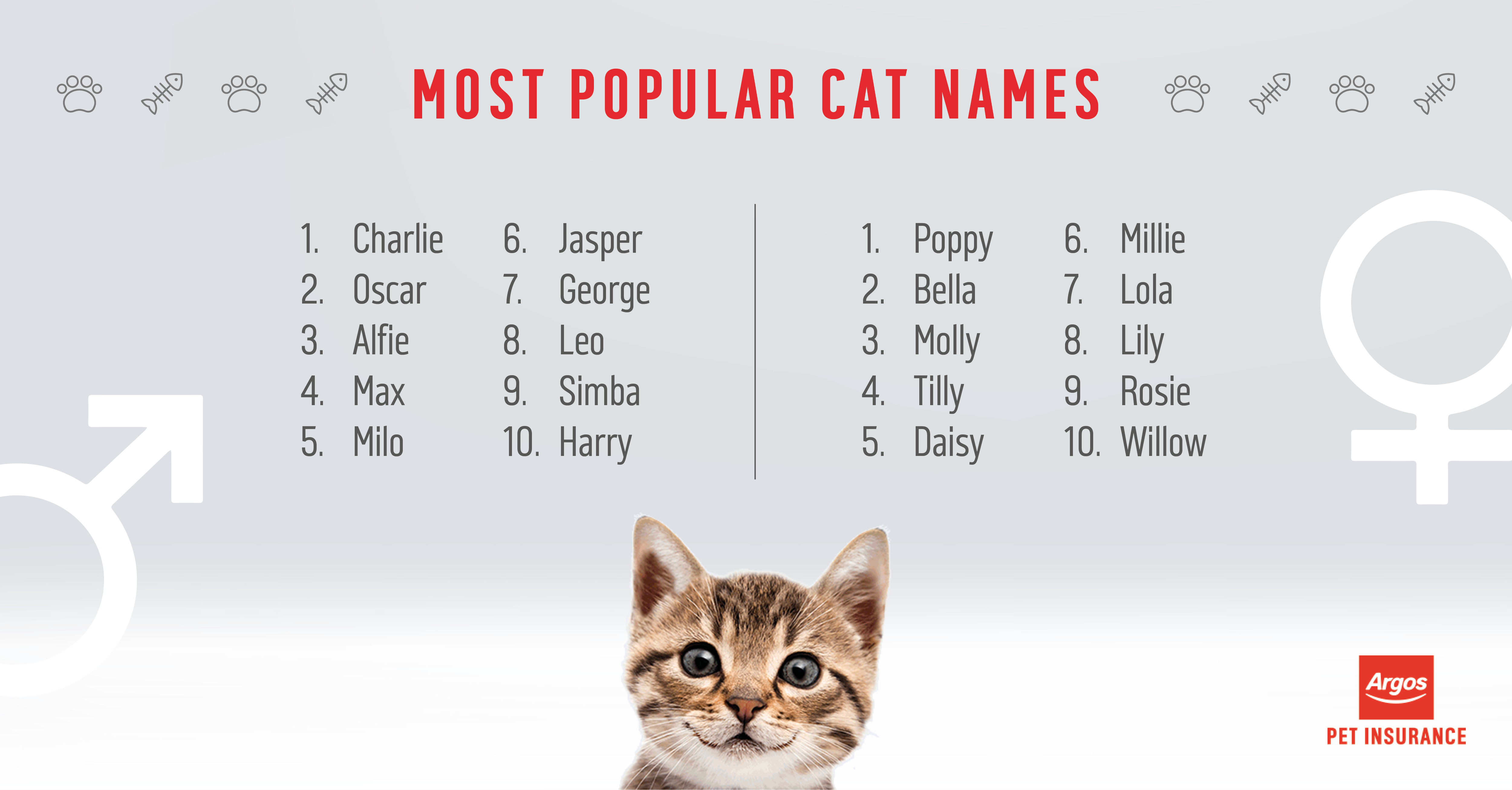Boy Twin Names For Cats