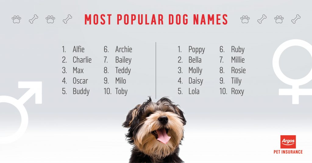 What are the most popular dog names Argos Pet Insurance