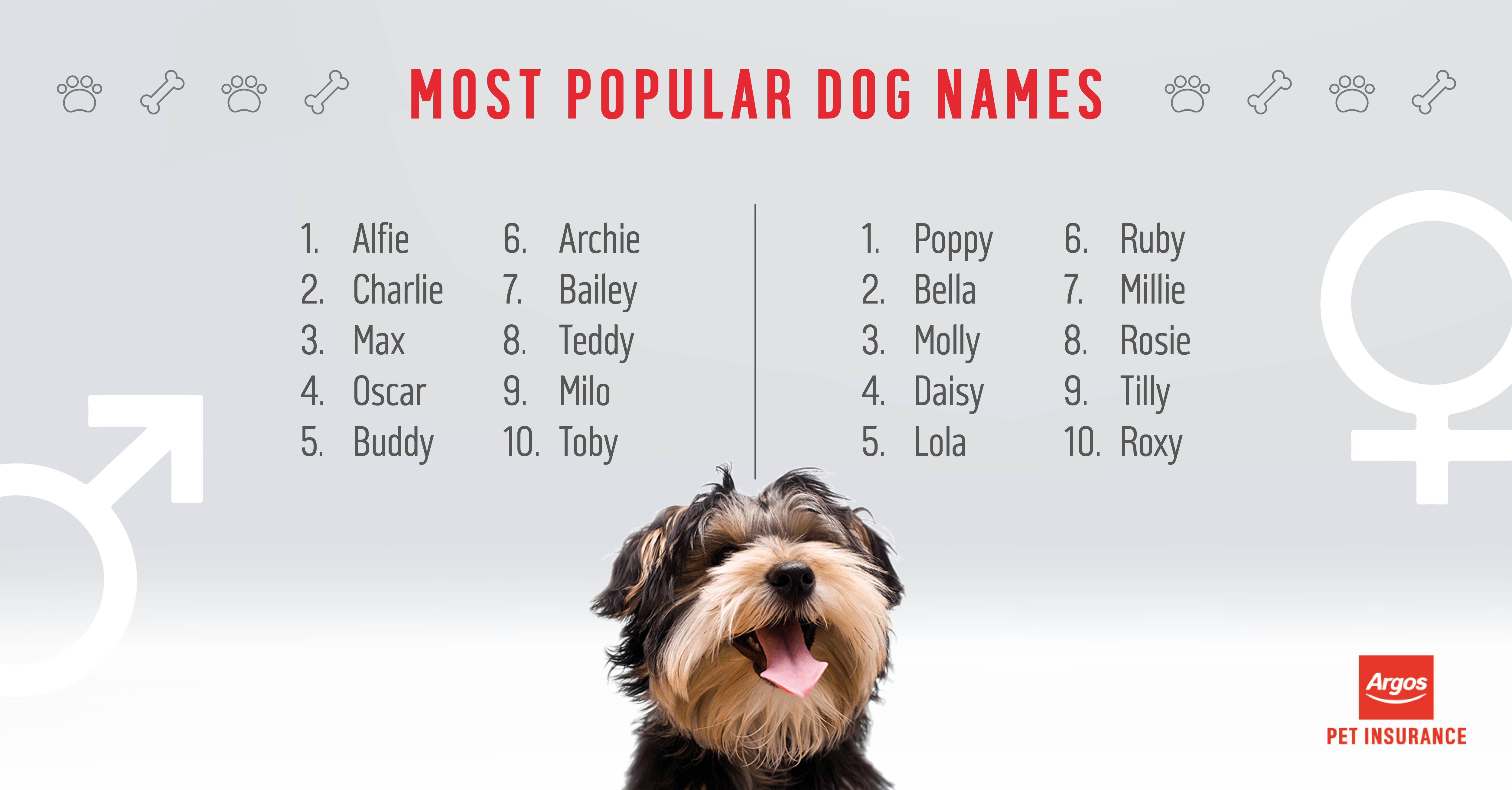 Dog Names