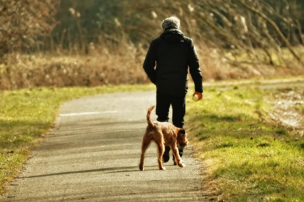 national-walking-month