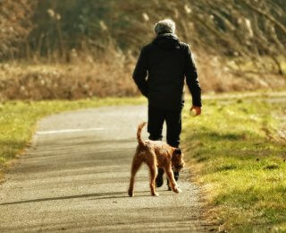 man walking dog for national walking month