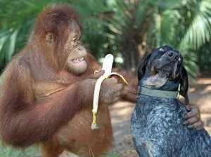 world friendship day - suriya and roscoe