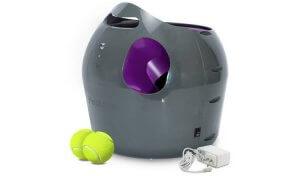 Image of a black and purple dog ball launcher with green tennis balls