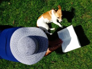 A small dog in the garden with their owner