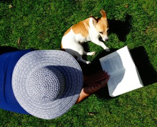 A small dog in the garden with their owner