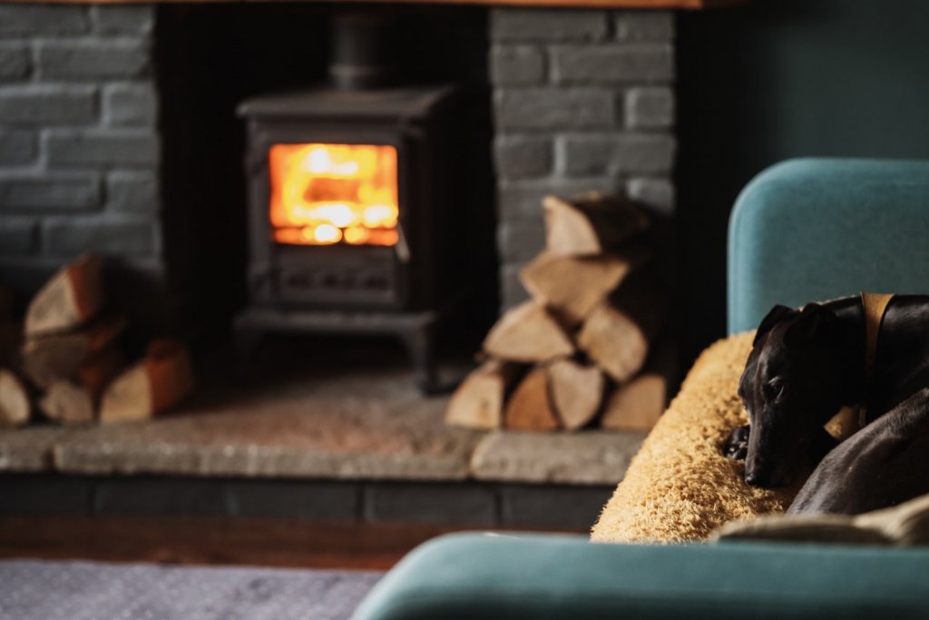 Black Greyhound dog laid on a sofa in front of a lit fireplace