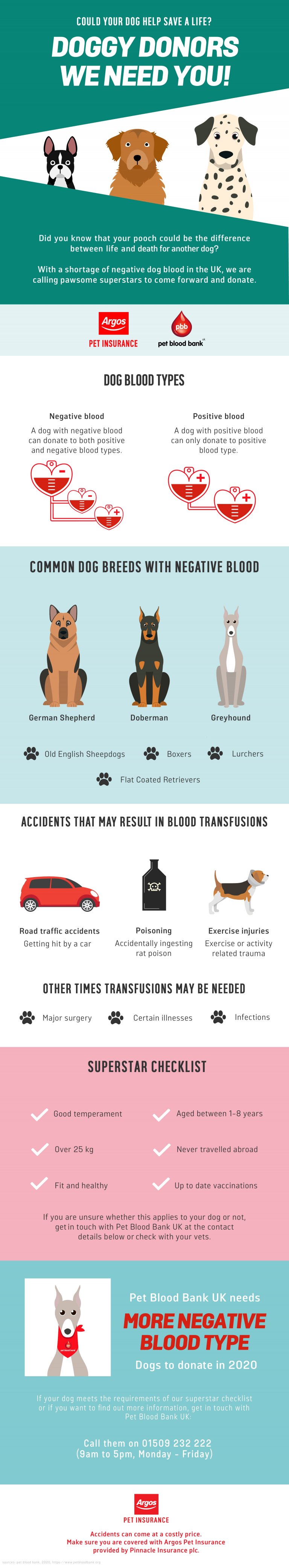 dog blood donation information, infographic and requirements