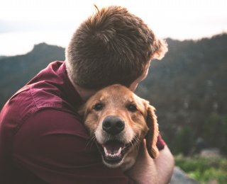 Man hugging a happy Golden Retriever who is looking at the camera